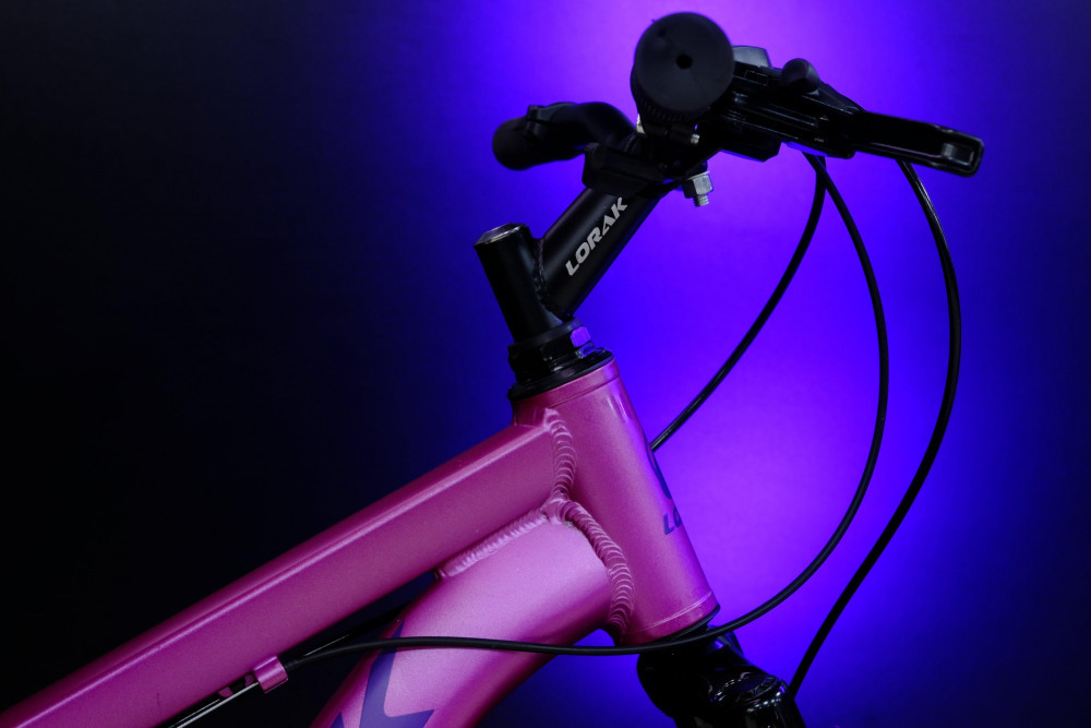 LORAK Fast Brown 24 Матовый Розовый